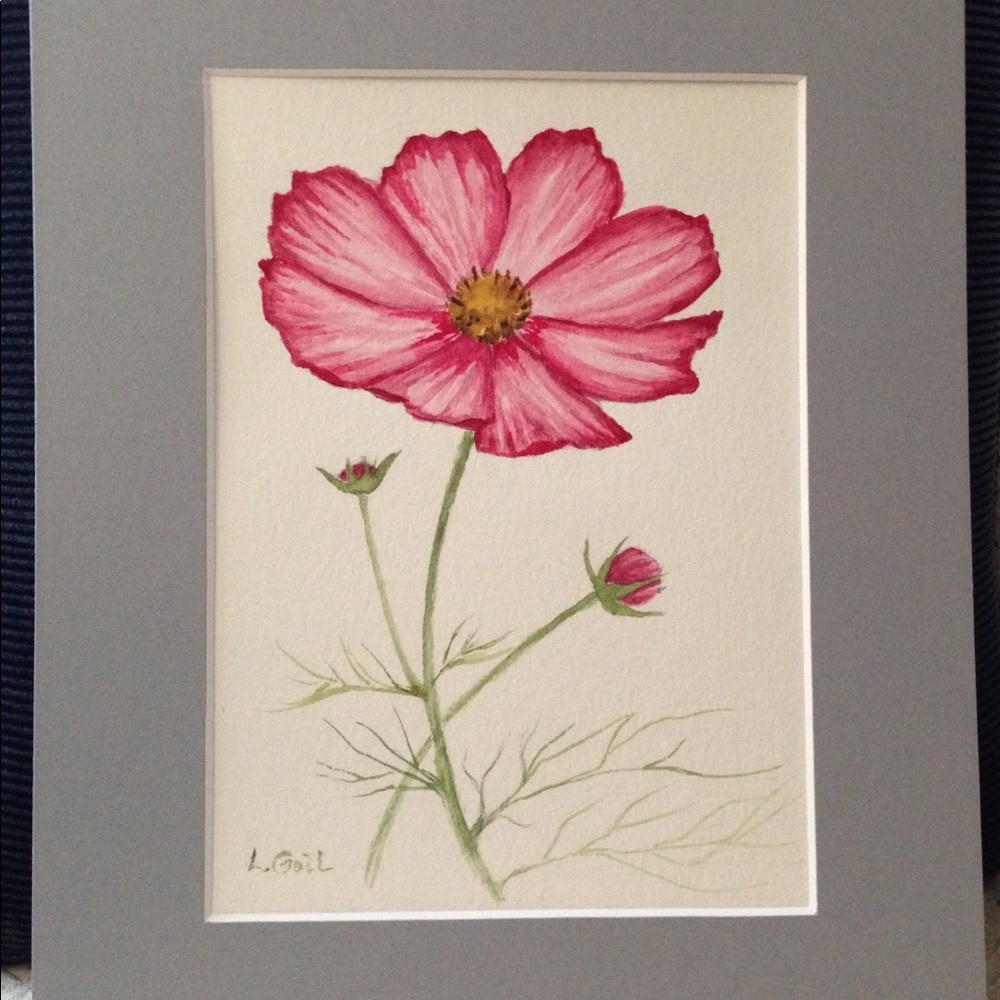 Original watercolor painting pink cosmo flower